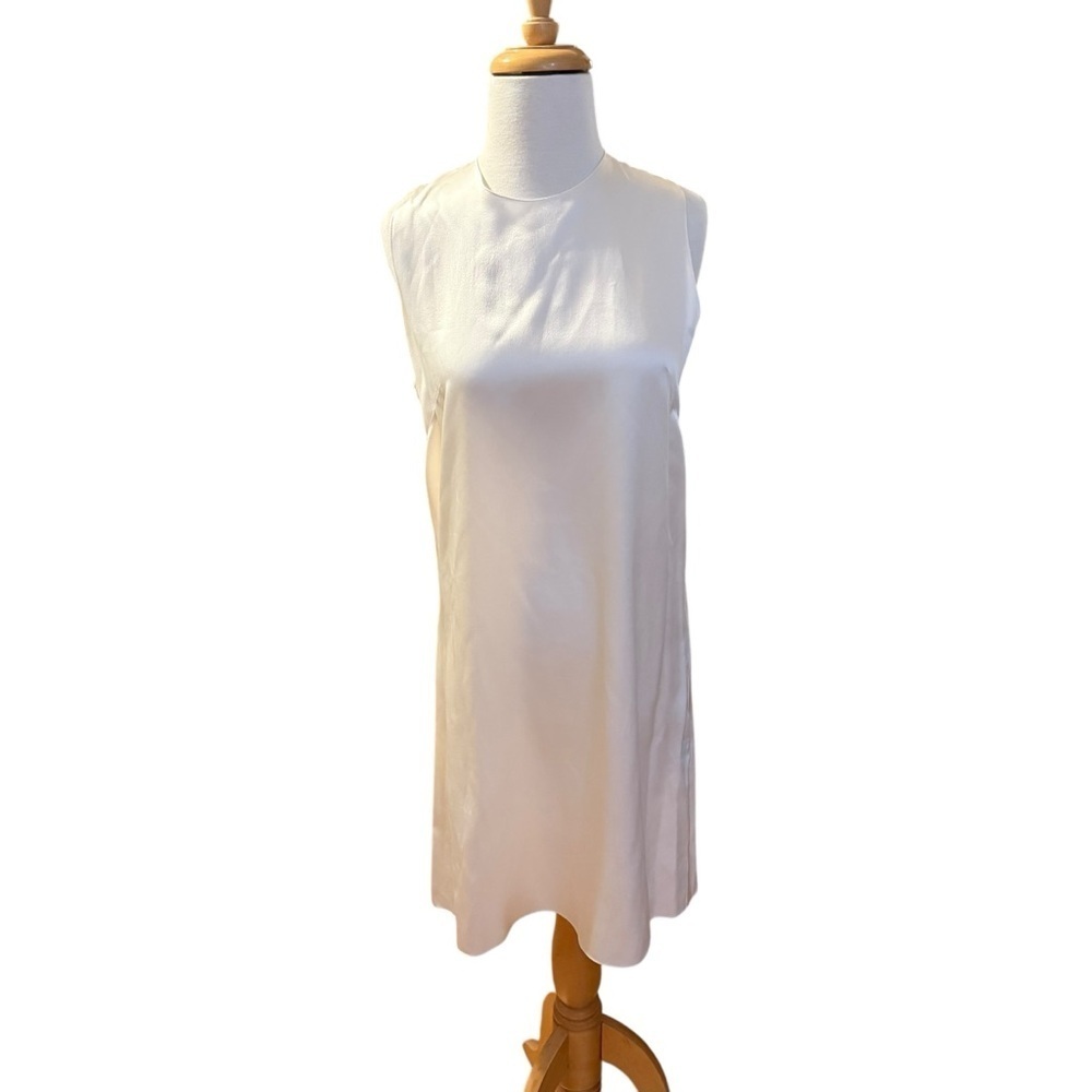 Morgane Le Fay New York Silk Slip Chiffon Dress Size Small - Picture 4 of 9